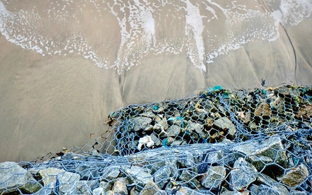 kustbescherming met verrassing